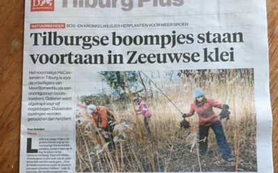 Tilburgse boompjes staan voortaan in Zeeuwse klei