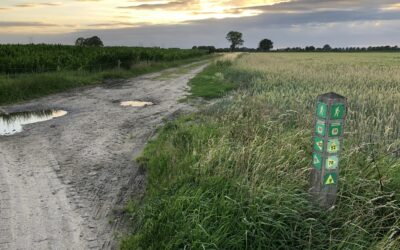 Er worden 34 bomen geplant in het buitengebied