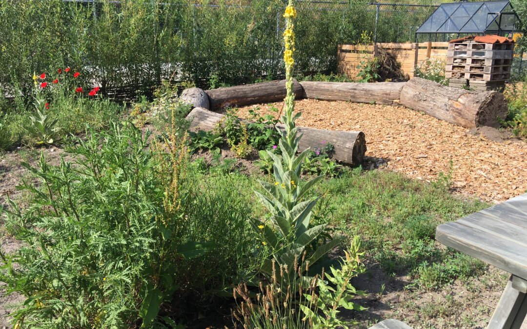 Prijsvraag ‘Natuur in eigen hand’