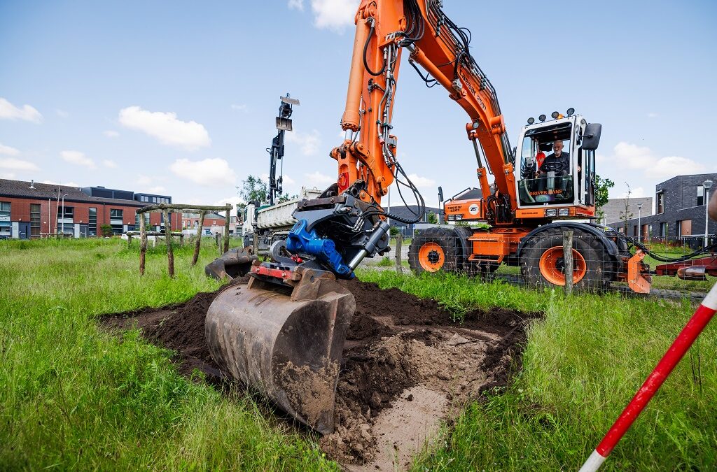 Uitleg: verdwenen bomen