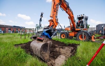 Uitleg: verdwenen bomen