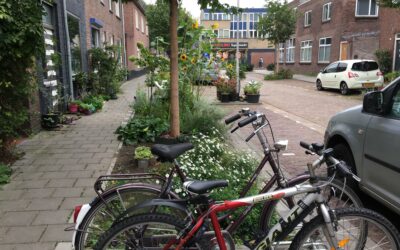 Adoptiegroen in andere steden