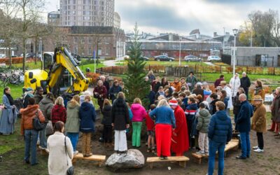 Vredesboom op 11 december geplant