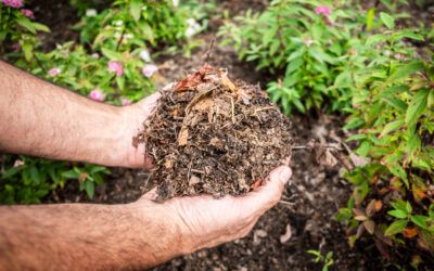 De kracht van bladmulch