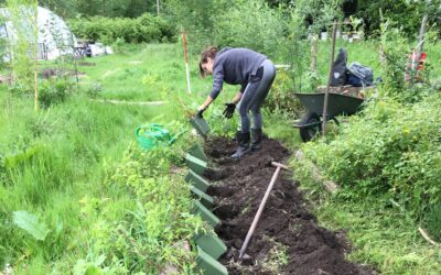 Afscheid Planthub
