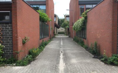 Gerealiseerde vergroening: Magnoliaerf/Cyprespad