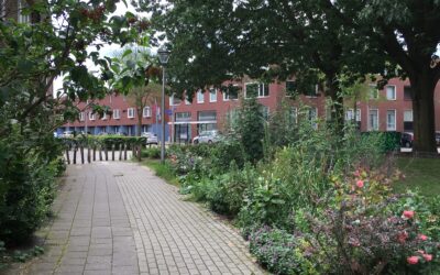 Watertorenplein in bloei en groei