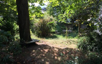 Adopteer een Buurttuin